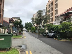 Lorong 34 Geylang (D14), Terrace #204552481